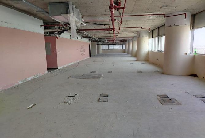 16274055 - Property Image 3