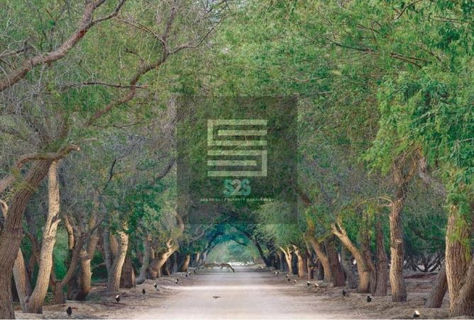 87867819 - صورة العقار 2