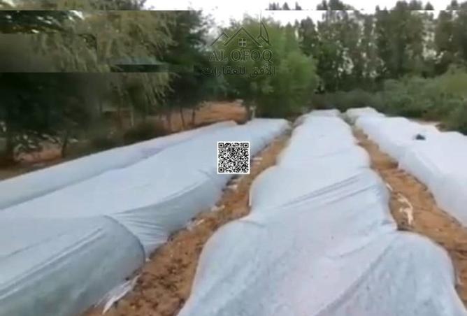 112285080 - الصورة الرئيسية للعقار