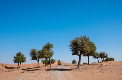 Land - Studio for sale in Hay Al Dibdibah North - Al Zubair - Sharjah