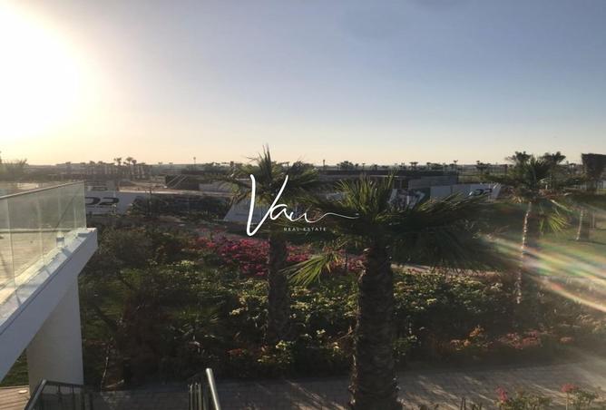 88767997 - Property Image 3