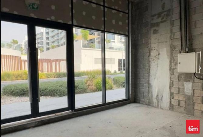 16069559 - Property Image 3