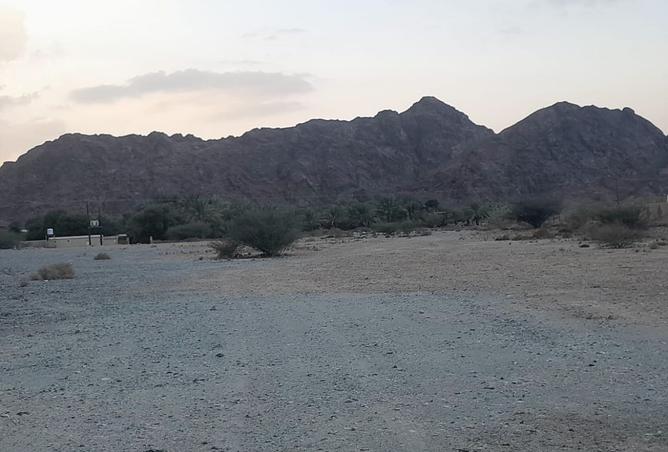 128810564 - صورة العقار 2