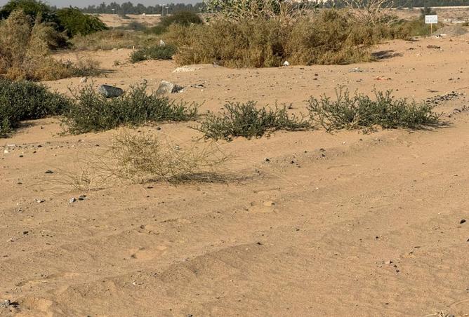 16068906 - صورة العقار 2