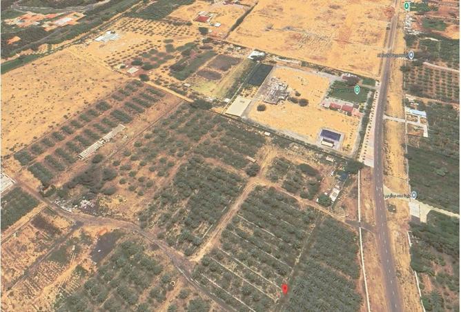 70268201 - Property Image 3