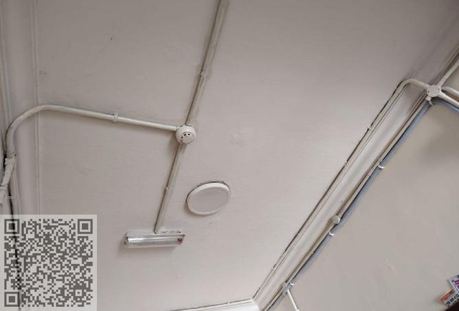 16016954 - Property Image 3