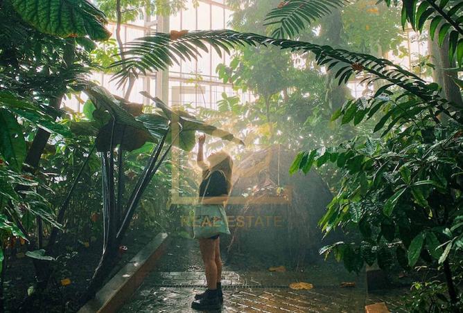 79385902 - صورة العقار 2