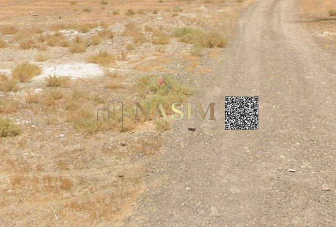 55351939 - Property Image 3