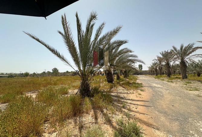 90498222 - صورة العقار 2