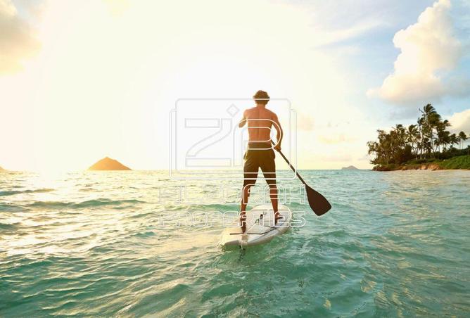 16075128 - Property Image 2