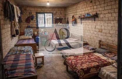 Labor Camp - Studio - 7+ Bathrooms for rent in Al Jurf 1 - Al Jurf - Ajman Downtown - Ajman