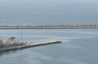 Apartment - 1 Bedroom - 2 Bathrooms for rent in Al Mujarrah - Al Sharq - Sharjah