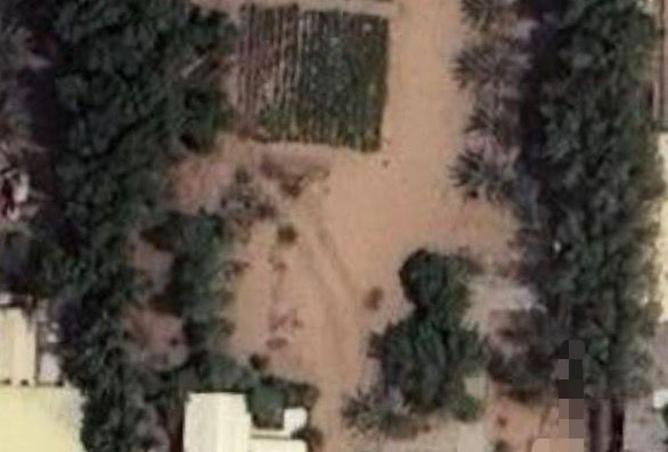 71462552 - Property Image 3