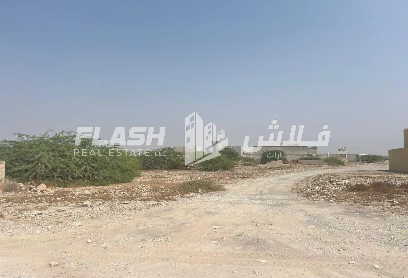 163231481 - Property Main Image