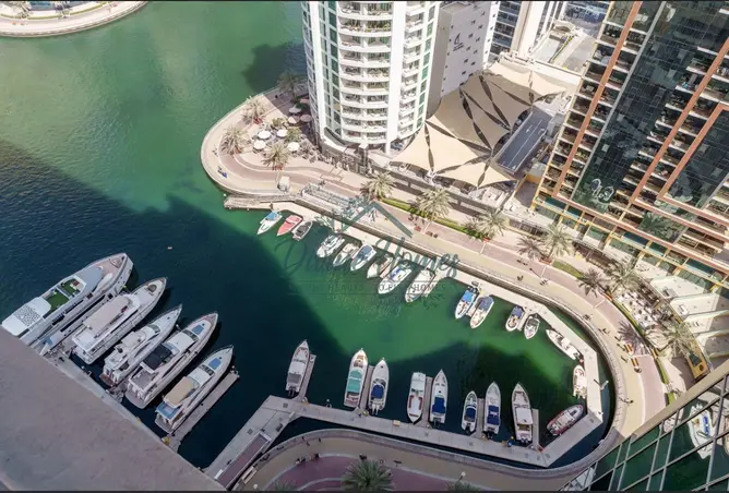 98255906 - صورة العقار 2