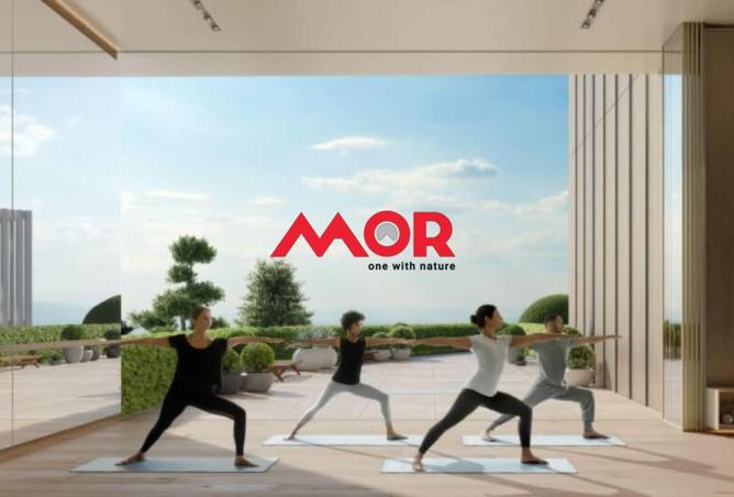 73843572 - Property Image 3