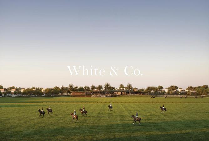 16215057 - Property Image 3