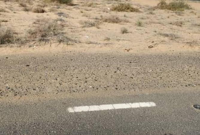 71519028 - صورة العقار 3