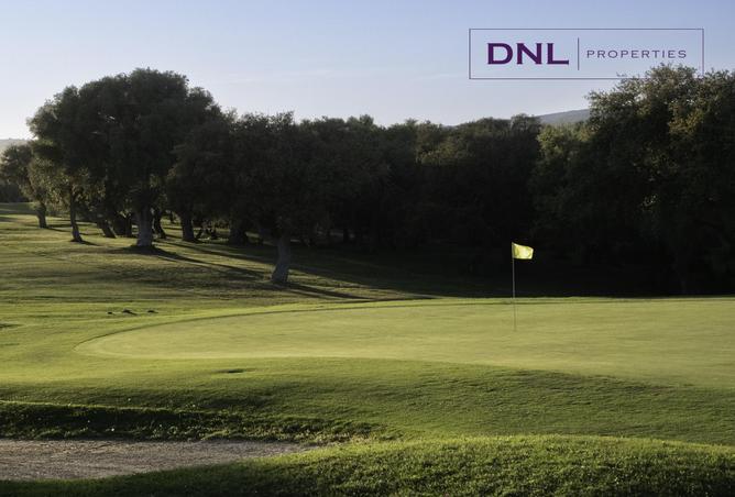 54403910 - Property Image 3