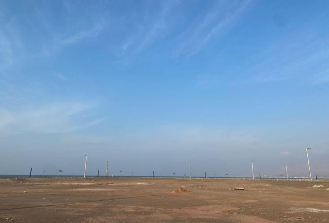 16300999 - Property Image 2