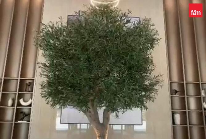 87037678 - صورة العقار 3