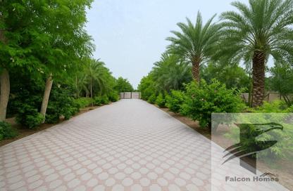 Villa - 6 Bedrooms - 6 Bathrooms for rent in Nad Al Sheba 4 - Nad Al Sheba - Dubai Villa - 6 Bedrooms - 6 Bathrooms for rent in Nad Al Sheba 4 - Nad Al Sheba - Dubai