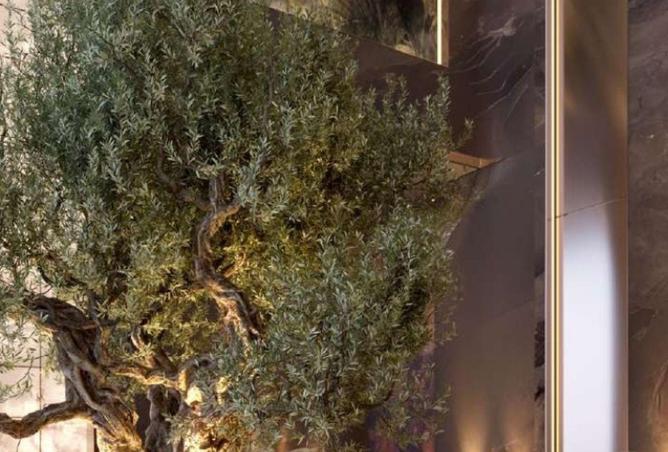 57385105 - Property Image 2