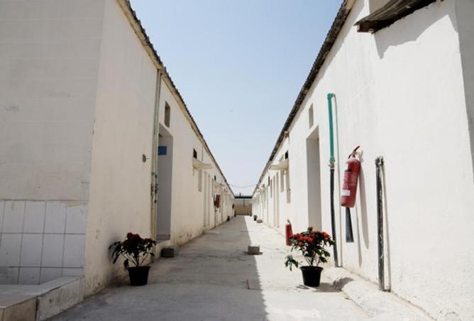 55341210 - صورة العقار 2