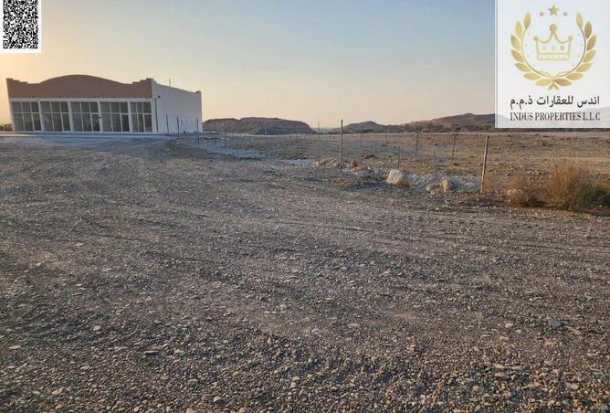 16149818 - Property Image 3