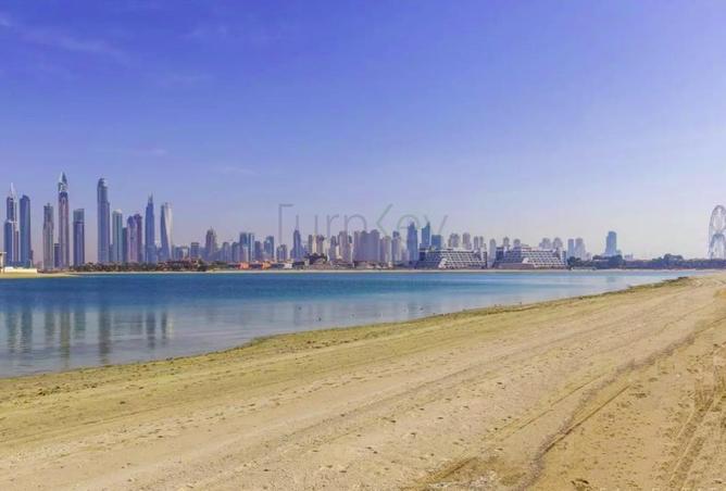 16158969 - Property Image 2