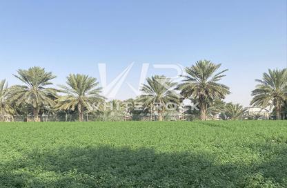 أرض - استوديو للبيع في الباهية - أبوظبي