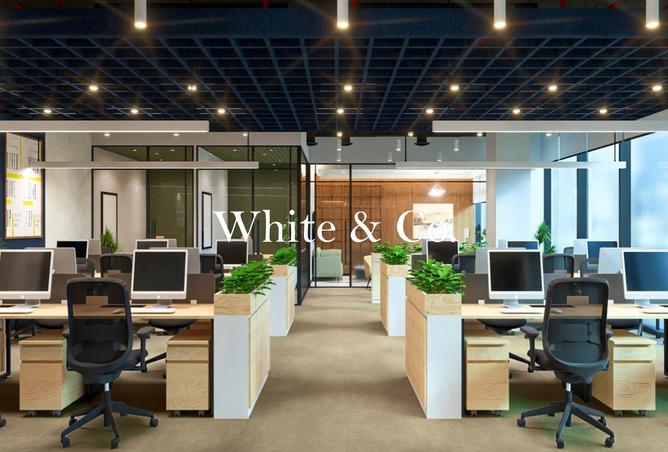 64416135 - صورة العقار 2