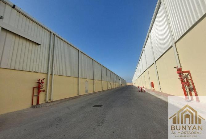 16241237 - Property Image 3