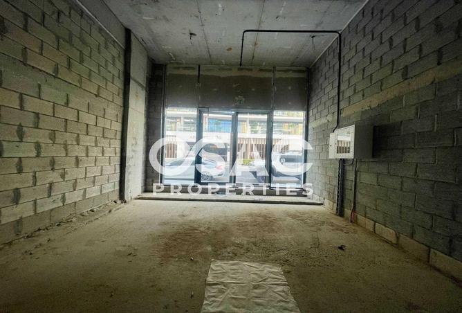 16065805 - Property Image 3