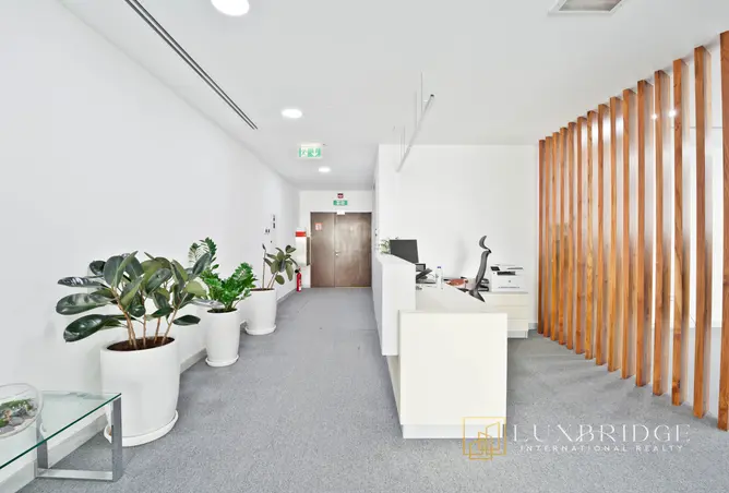 146455914 - Property Image 2