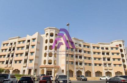 شقة - 2 - 2 للايجار في مبنى أ3 - طراز الصين - المدينة العالمية - دبي شقة - 2 - 2 للايجار في مبنى أ3 - طراز الصين - المدينة العالمية - دبي