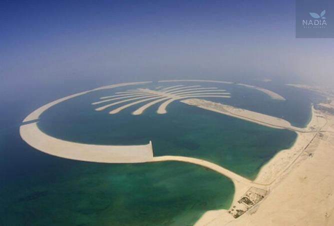 83228502 - Property Image 3