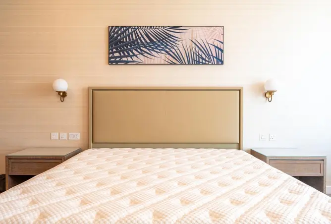 161885104 - Property Image 3