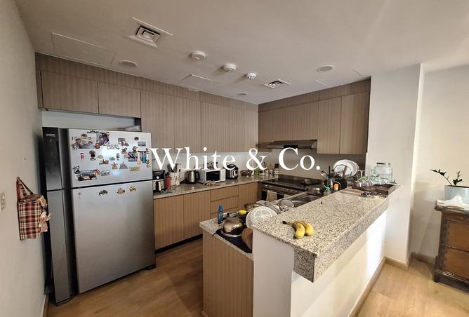 118141662 - Property Image 3