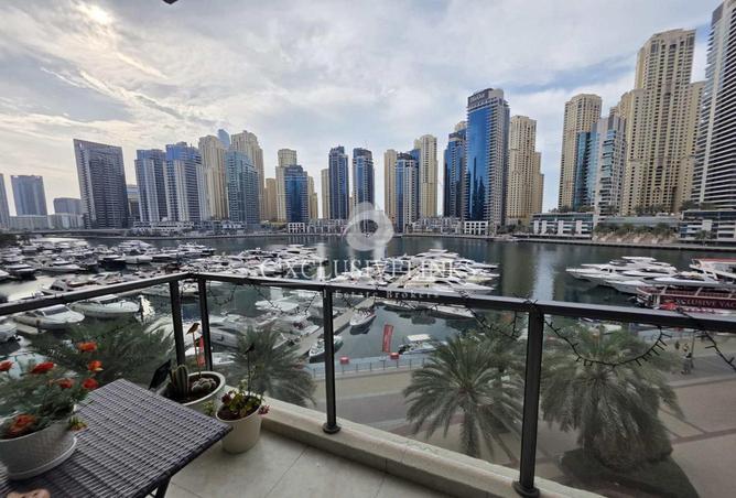 61671884 - صورة العقار 2