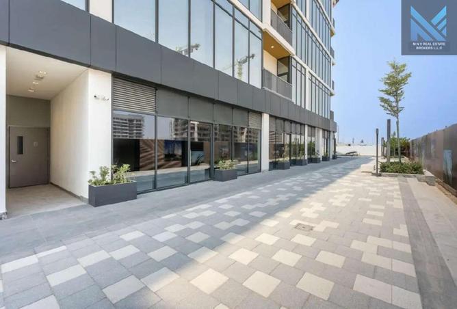 16257715 - Property Image 3