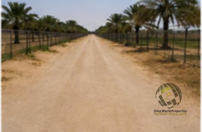 مزرعة - استوديو للايجار في شرق - مارينا مساكن المرحلة 3 - قرية الحمرا - رأس الخيمة