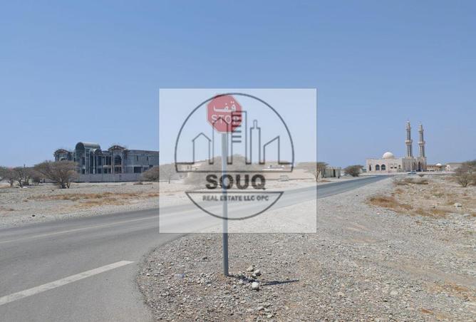 16130159 - Property Image 2