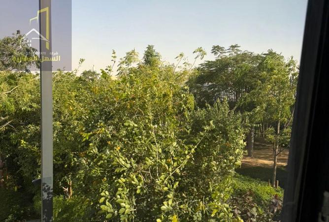 75402193 - Property Image 3