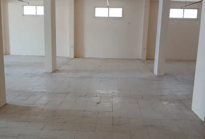 146894258 - Property Image 3