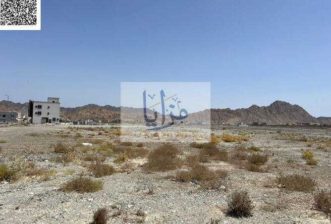 16056742 - Property Image 3