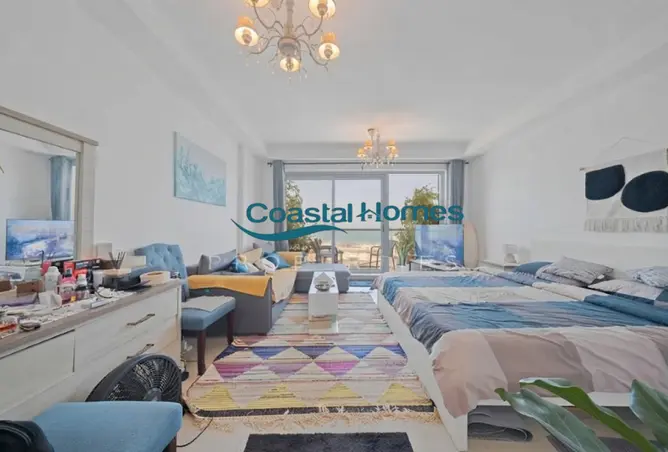 155507965 - Property Image 3