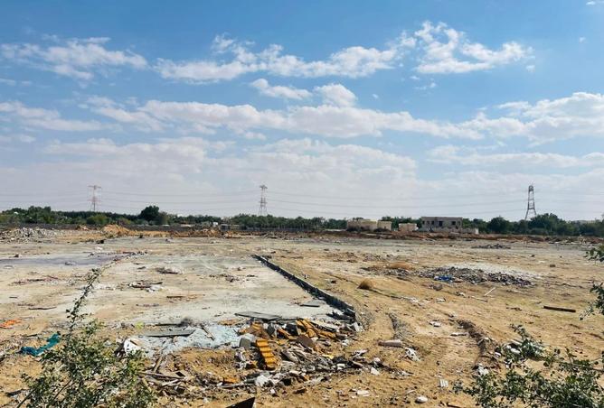 15999464 - Property Image 3