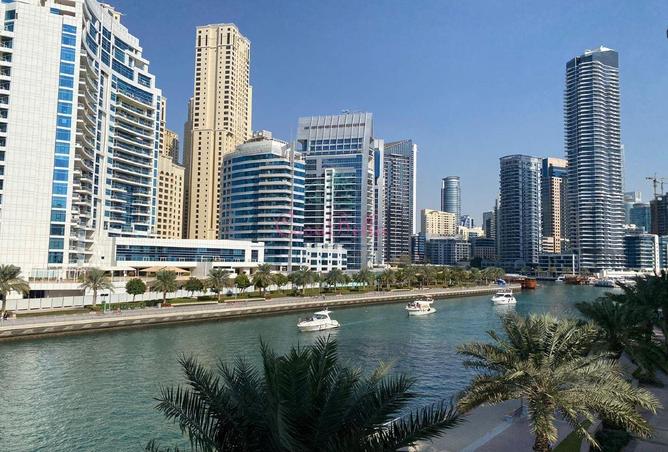 16105294 - صورة العقار 3