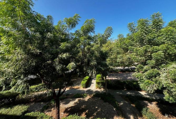 16207940 - Property Image 2